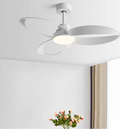 Ventilateur de Plafond Moderne