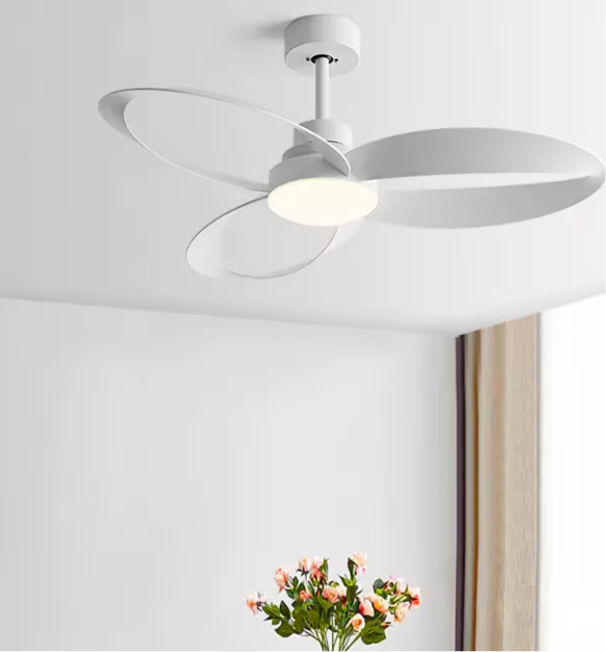 Ventilateur de Plafond Moderne