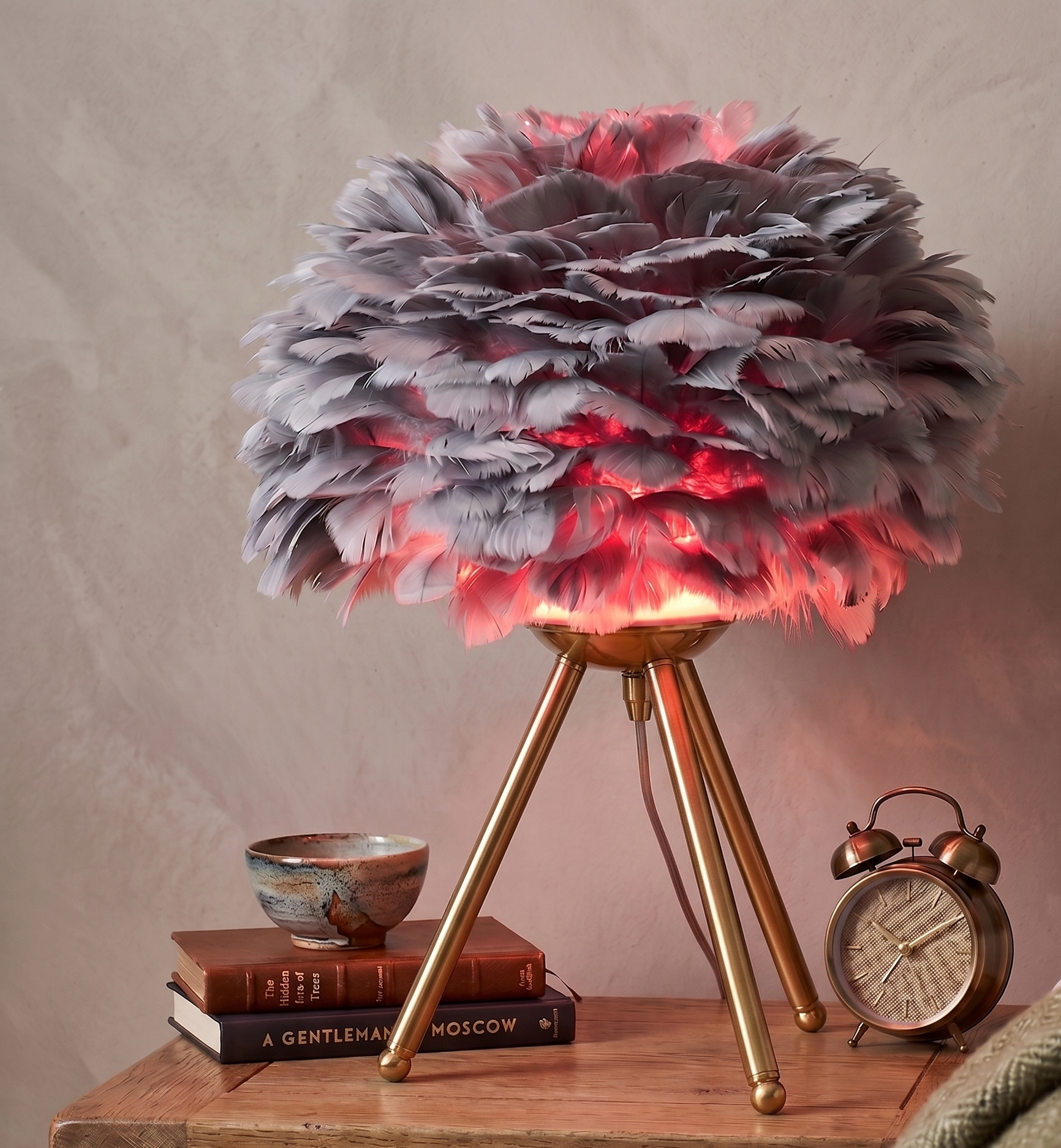 Lampe de Table avec plume